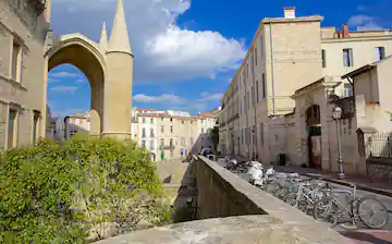 Camping Salendrinque : 77324 Montpellier Cathedral