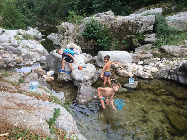 Enfants pêchent à l'épuisette dans la rivière du camping Saint-Jean-du-Gard