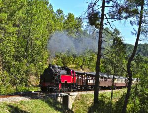 Camping Salendrinque : Le Train A Vapeur Des Cevennes