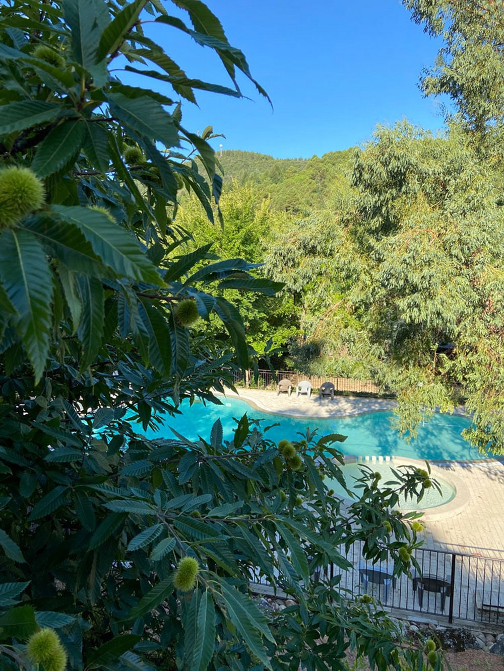 Camping Salendrinque : Piscine Chataigne