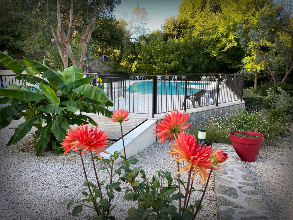 Camping Salendrinque : Piscine Fleur