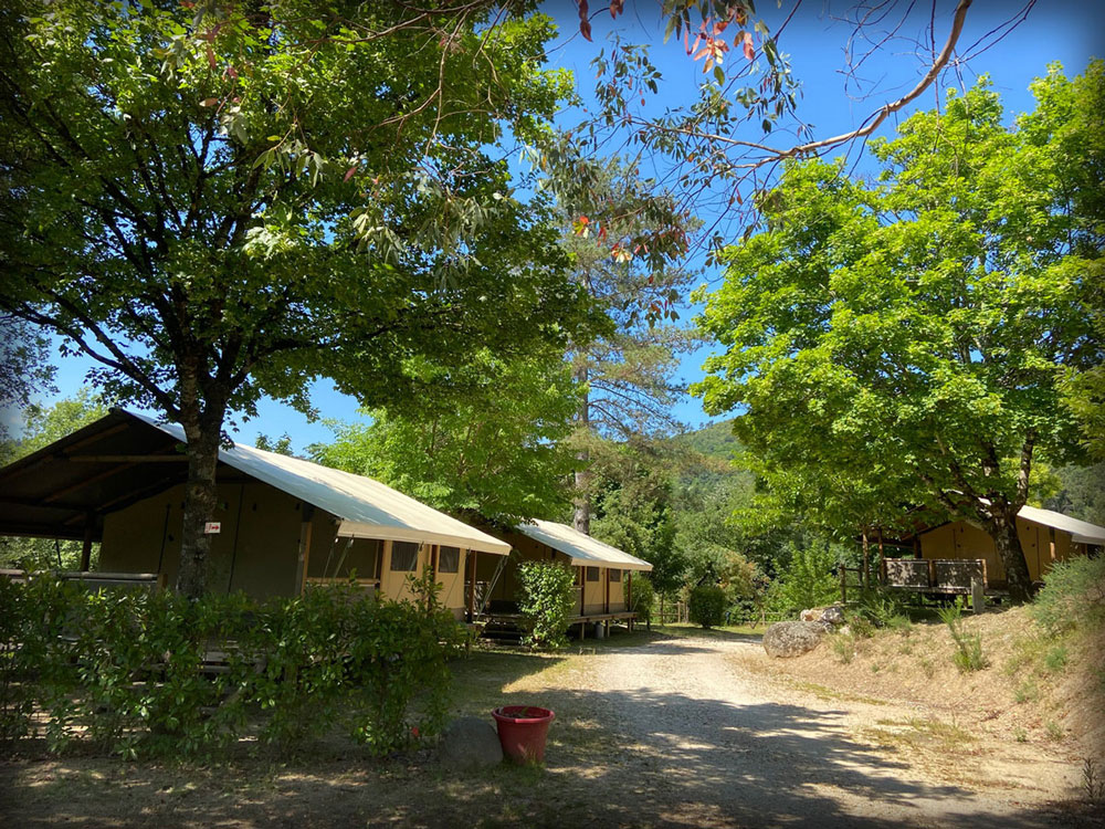 Camping Salendrinque : Tof Ctvert Lodge2