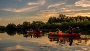 Camping Salendrinque : © Photographie Passion Xavier Rocton 4253 Sentier Vagabond