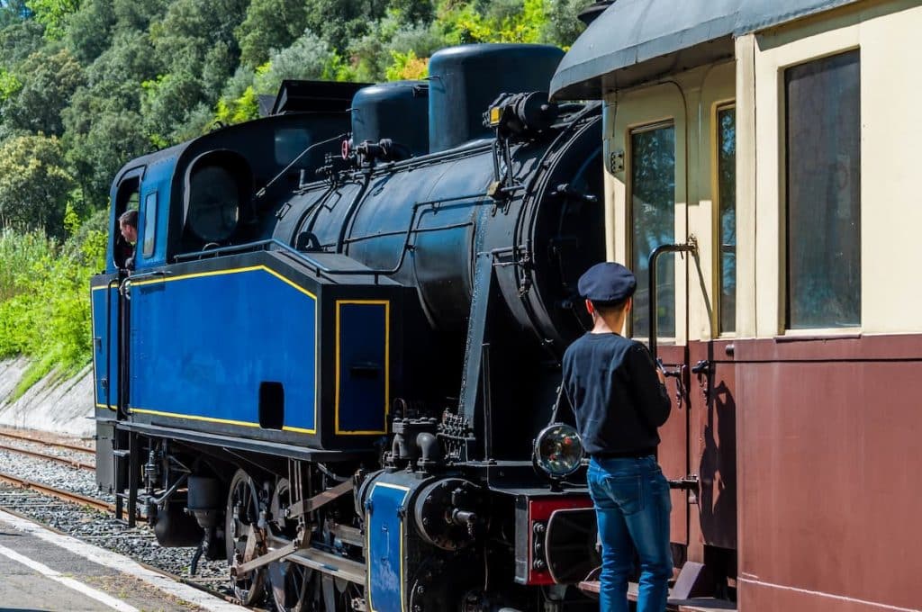 Camping La Salendrinque près de Saint-Jean-du-Gard : Petit Train Des Cevennes