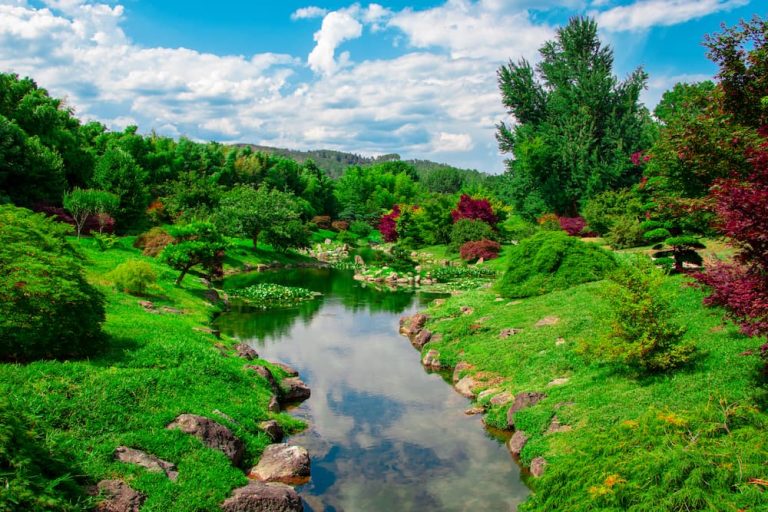 Bambouseraie Cévennes - Jardin japonais - Camping 3 étoiles la Salendrinque