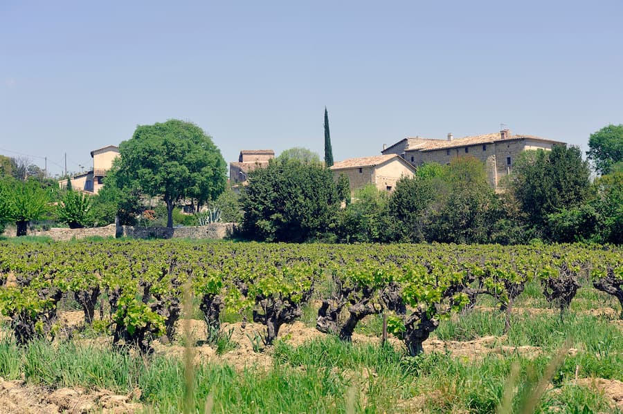 randonnees vignes proche anduze - camping anduze